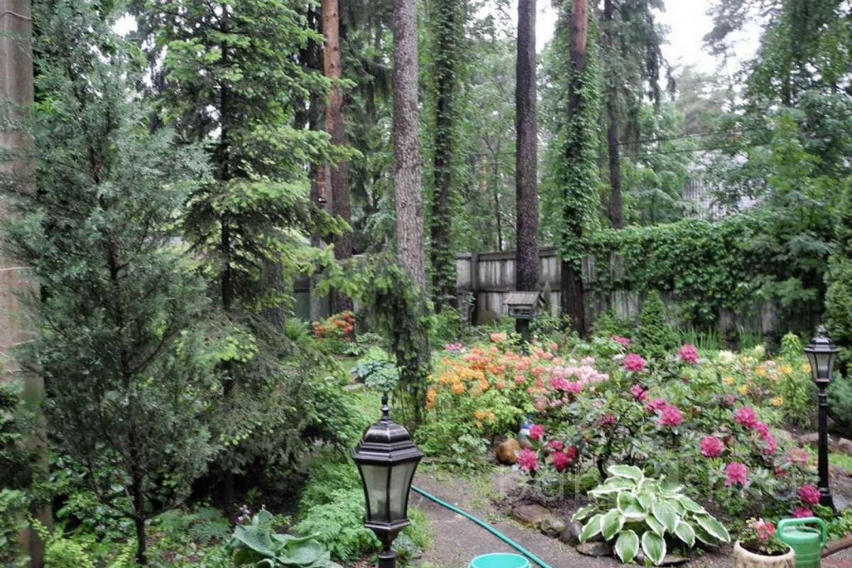 %D0%91%D0%BE%D0%BB%D1%88%D0%B5%D0%B2%D0%BE%20(%D0%9C%D0%B0%D1%80%D0%B8%D0%BD%D0%B0)_71 дома 