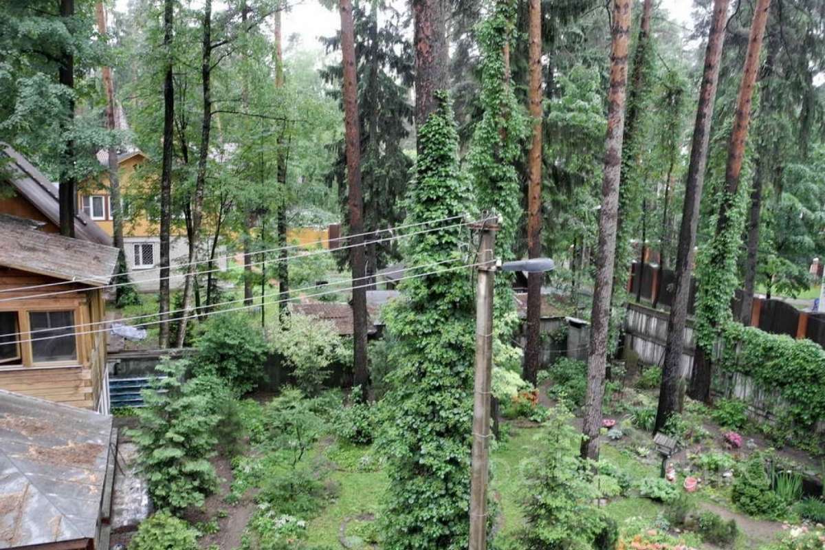 %D0%91%D0%BE%D0%BB%D1%88%D0%B5%D0%B2%D0%BE%20(%D0%9C%D0%B0%D1%80%D0%B8%D0%BD%D0%B0)_50 дома 