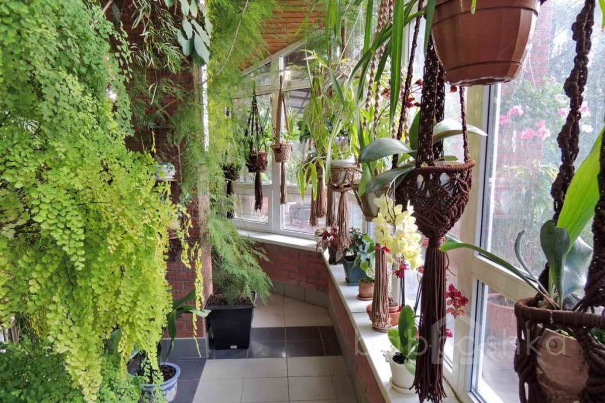 %D0%91%D0%BE%D0%BB%D1%88%D0%B5%D0%B2%D0%BE%20(%D0%9B%D1%8E%D0%B4%D0%BC%D0%B8%D0%BB%D0%B0%20%D0%9F%D0%B0%D0%B2%D0%BB%D0%BE%D0%B2%D0%BD%D0%B0)_163 дома 