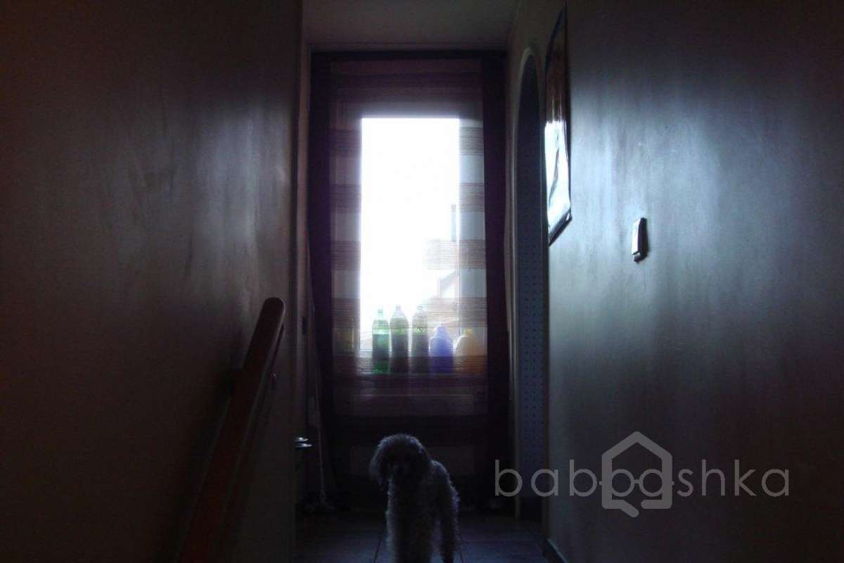 %D0%93%D0%BE%D0%BB%D0%B8%D1%86%D0%B8%D0%BD%D0%BE-3%20(%D0%A1%D0%B2%D0%B5%D1%82%D0%BB%D0%B0%D0%BD%D0%B0)_46 дома 