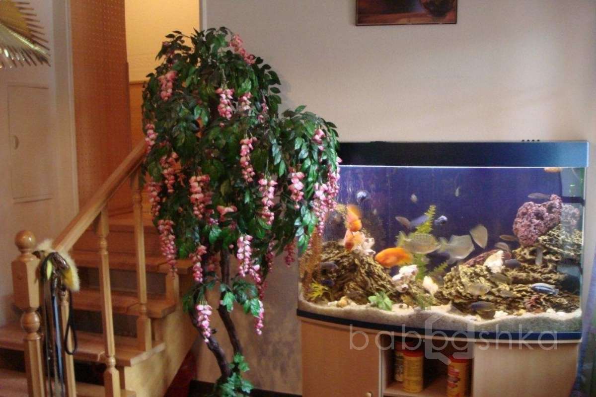 %D0%93%D0%BE%D0%BB%D0%B8%D1%86%D0%B8%D0%BD%D0%BE-3%20(%D0%A1%D0%B2%D0%B5%D1%82%D0%BB%D0%B0%D0%BD%D0%B0)_21 дома 