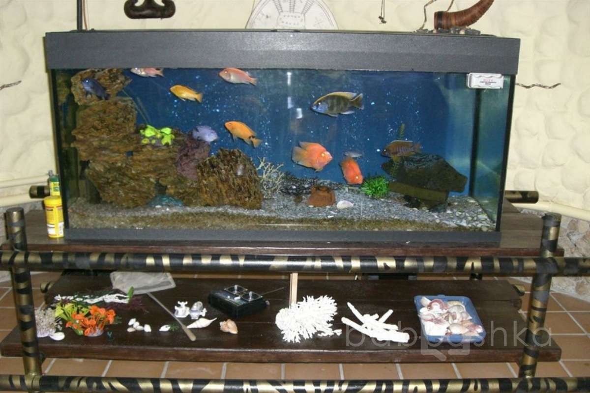 %D0%93%D0%BE%D0%BB%D0%B8%D1%86%D0%B8%D0%BD%D0%BE%20(%D0%92%D0%B0%D0%BB%D0%B5%D1%80%D0%B8%D0%B9)_057 дома 