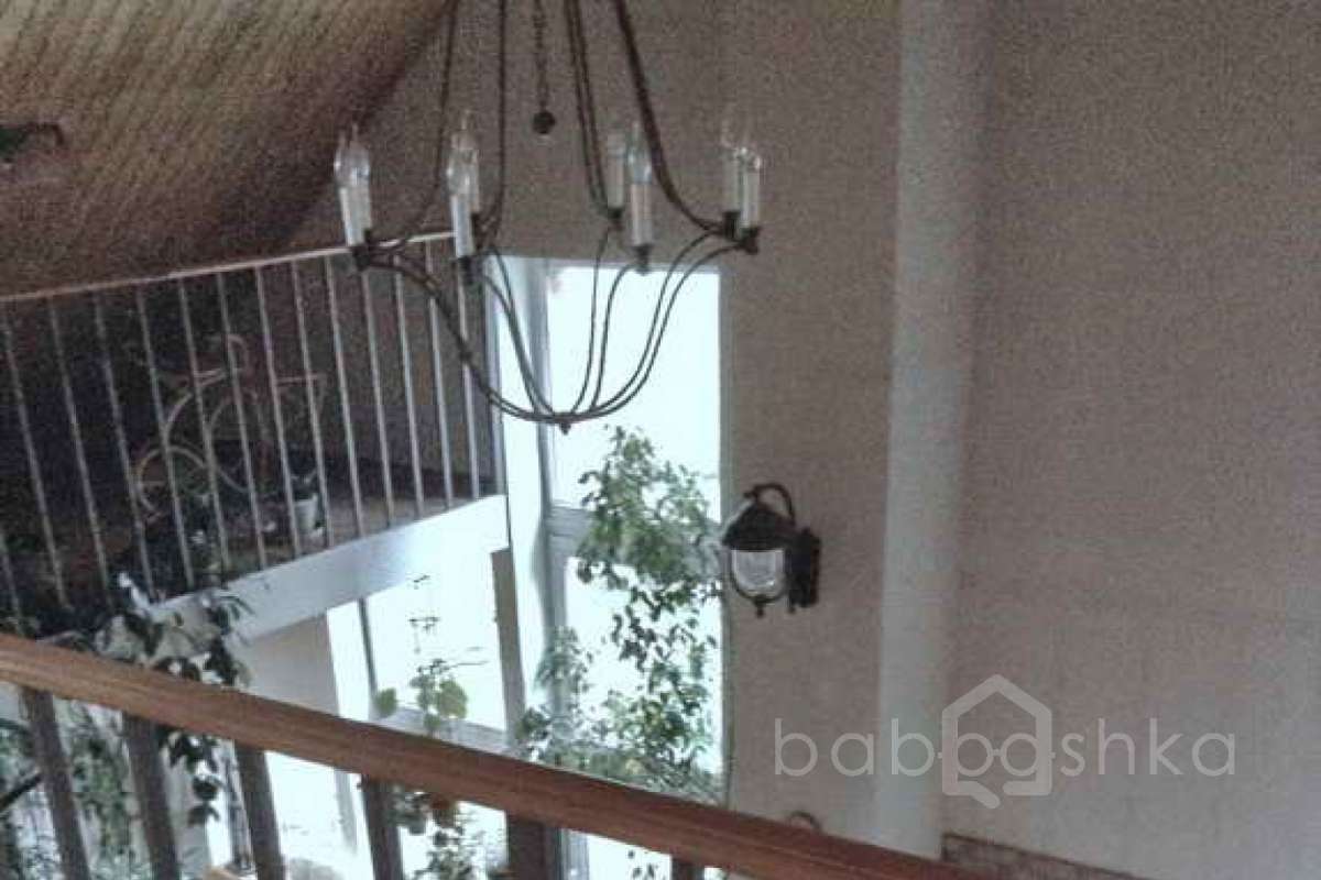 %D0%92%D0%B5%D1%88%D0%BA%D0%B8%20(%D0%9B%D0%B5%D0%BD%D0%B0)_16 дома 