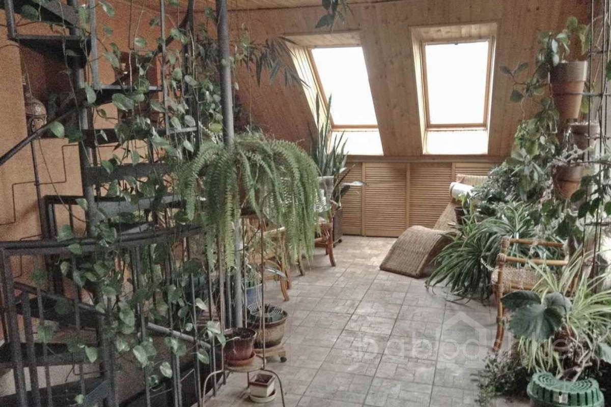 %D0%92%D0%B5%D1%88%D0%BA%D0%B8%20(%D0%9B%D0%B5%D0%BD%D0%B0)_17 дома 