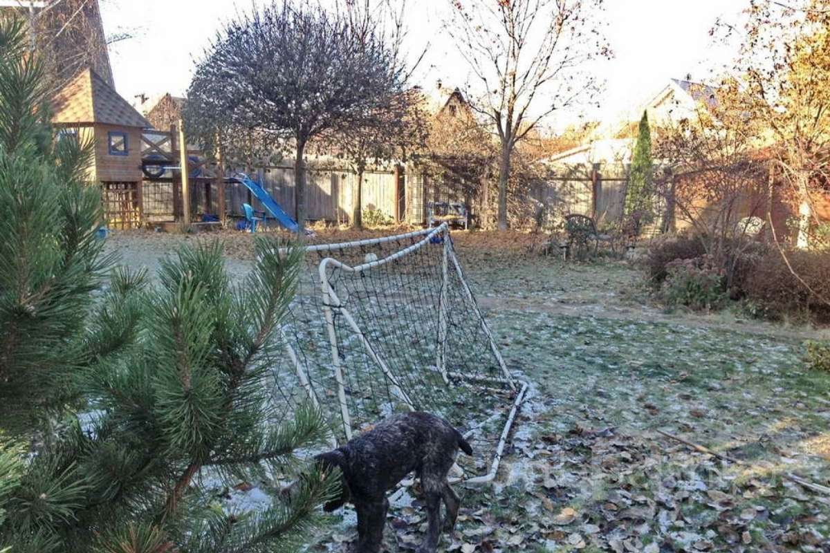 %D0%92%D0%B5%D1%88%D0%BA%D0%B8%20(%D0%9B%D0%B5%D0%BD%D0%B0)_25 дома 