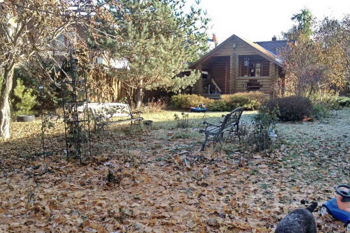 %D0%92%D0%B5%D1%88%D0%BA%D0%B8%20(%D0%9B%D0%B5%D0%BD%D0%B0)_22 дома 