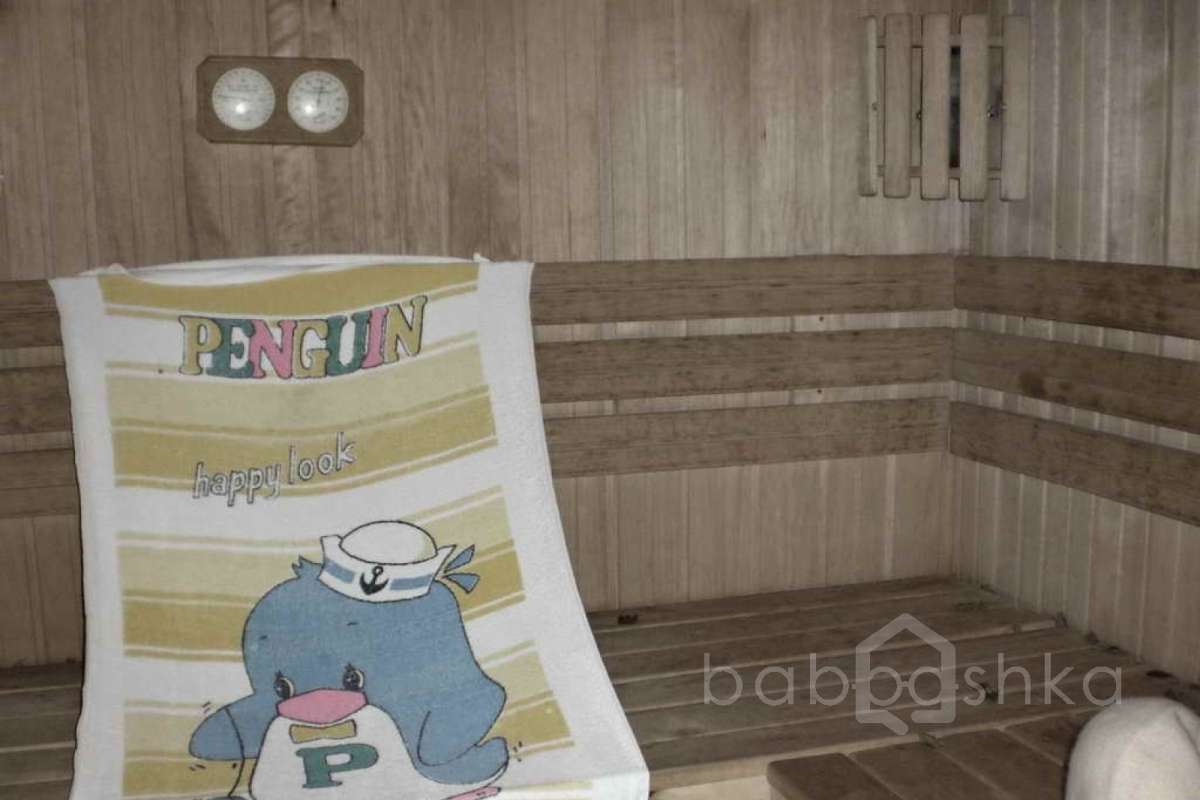 %D0%92%D0%B5%D1%88%D0%BA%D0%B8%20(%D0%98%D0%B3%D0%BE%D1%80%D1%8C)_50 дома 