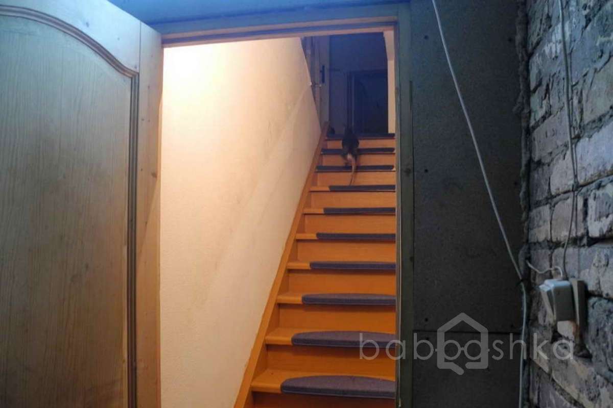 %D0%9A%D0%B0%D1%80%D1%82%D0%B8%D0%BD%D0%BE%20(%D0%9B%D0%B5%D0%BE%D0%BD%D0%B8%D0%B4)_65 дома 