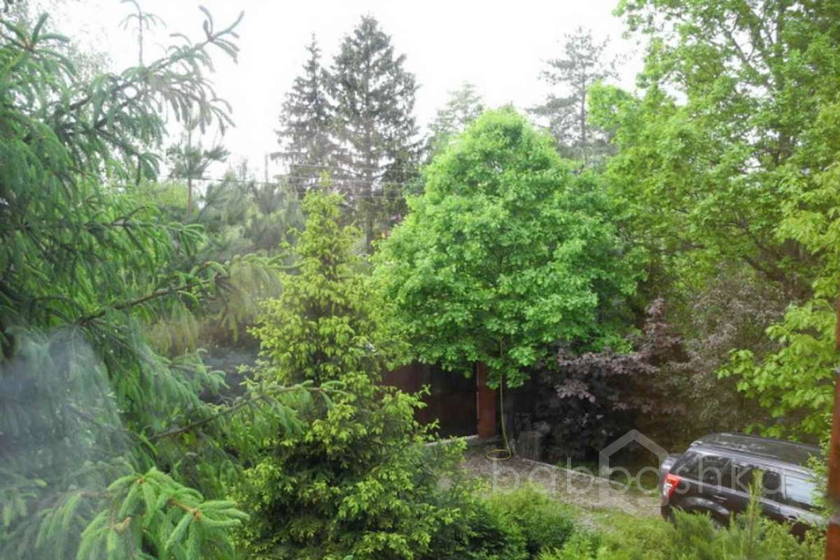 %D0%96%D0%B0%D0%B2%D0%BE%D1%80%D0%BE%D0%BD%D0%BA%D0%B8%20(%D0%9E%D0%BB%D1%8C%D0%B3%D0%B0)_31 дома 