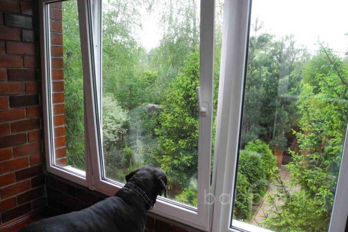 %D0%96%D0%B0%D0%B2%D0%BE%D1%80%D0%BE%D0%BD%D0%BA%D0%B8%20(%D0%9E%D0%BB%D1%8C%D0%B3%D0%B0)_43 дома 