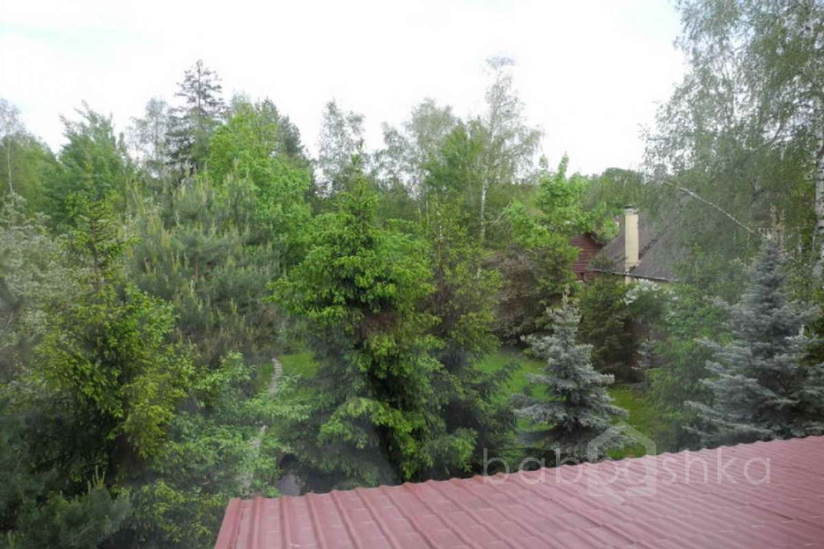 %D0%96%D0%B0%D0%B2%D0%BE%D1%80%D0%BE%D0%BD%D0%BA%D0%B8%20(%D0%9E%D0%BB%D1%8C%D0%B3%D0%B0)_38 дома 