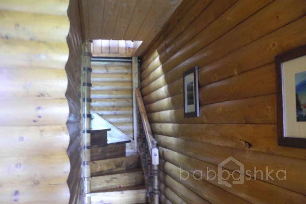 %D0%96%D0%B0%D0%B2%D0%BE%D1%80%D0%BE%D0%BD%D0%BA%D0%B8%20(%D0%9E%D0%BB%D1%8C%D0%B3%D0%B0)_44 дома 