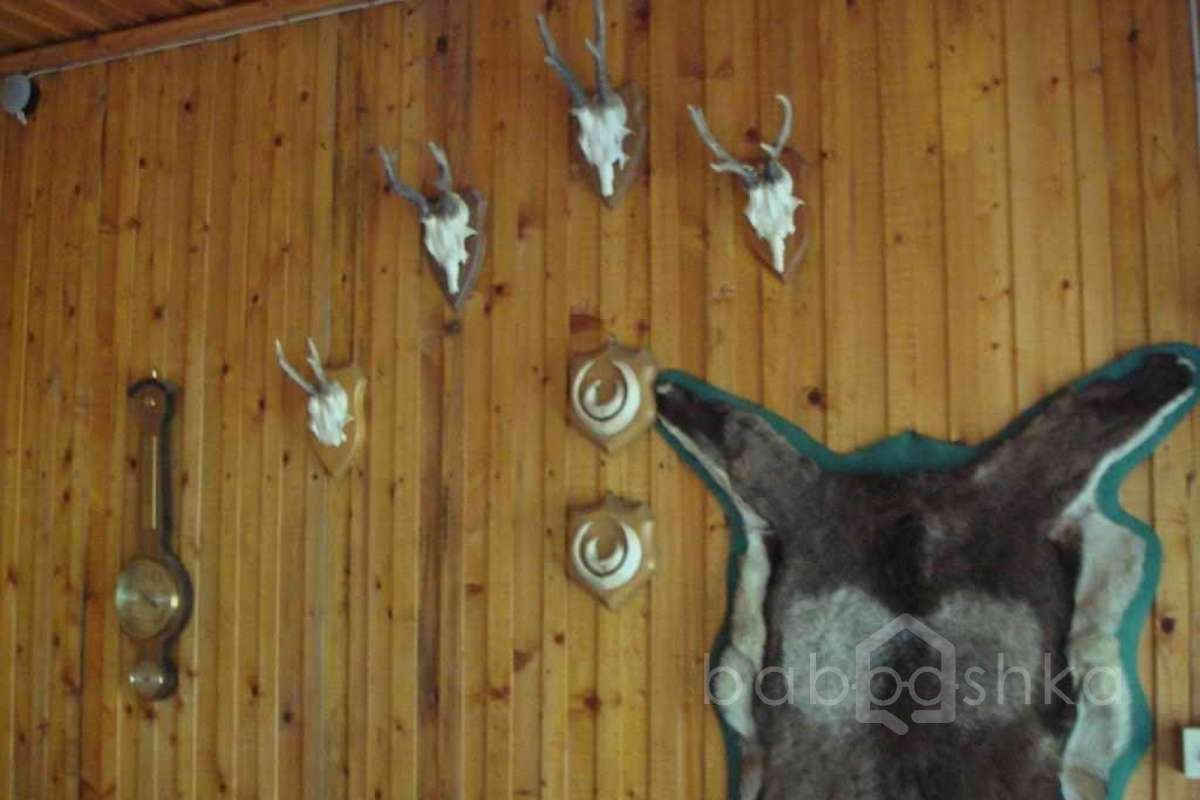 %D0%94%D0%BC%D0%B8%D1%82%D1%80%D0%BE%D0%B2%D1%81%D0%BA%D0%BE%D0%B5%20%D1%88-%D0%B5%20(%D0%9B%D0%B5%D1%81%D0%B5%D0%BD%D0%BA%D0%BE)_20 дома 