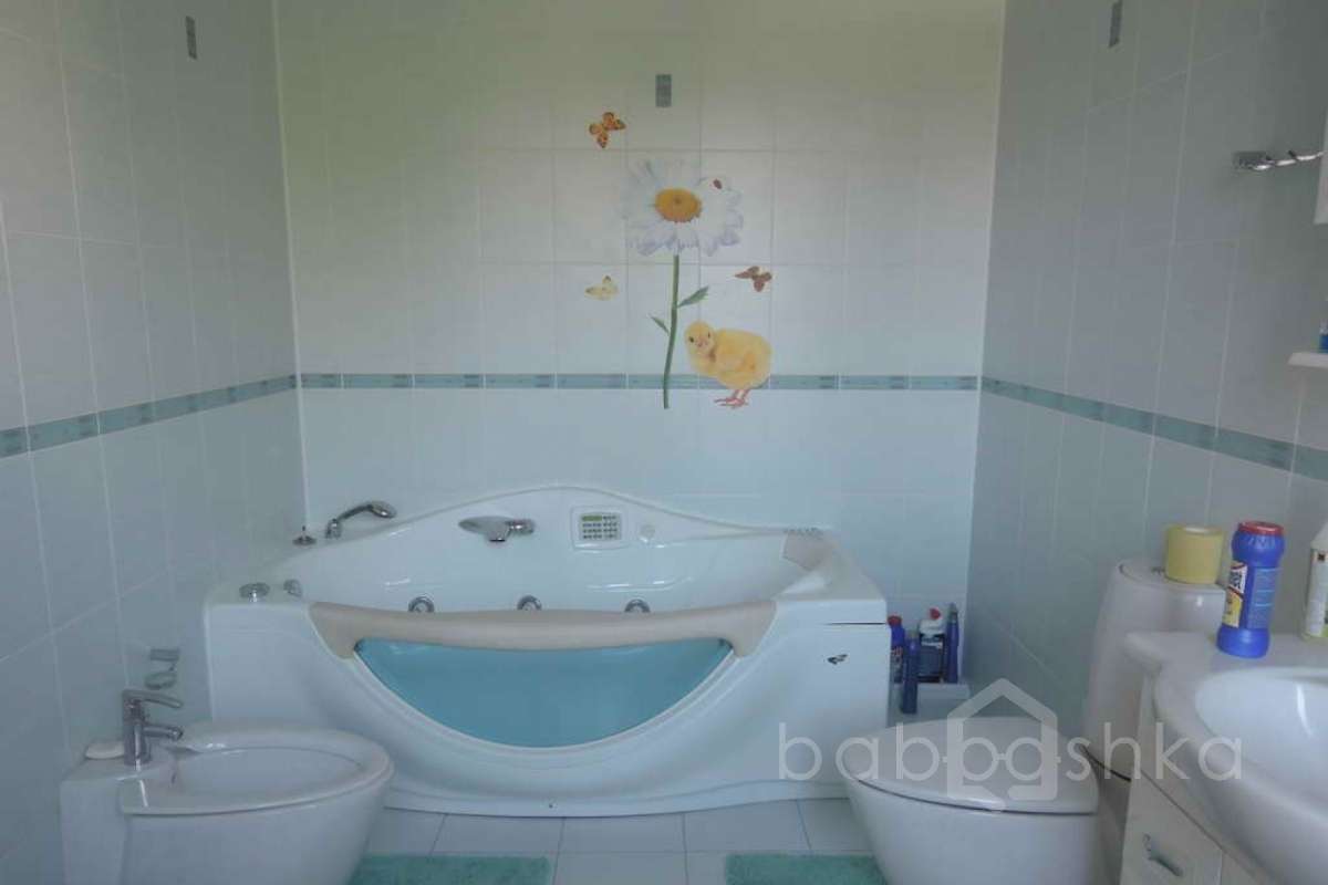 %D0%9A%D1%80%D0%B5%D0%BA%D1%88%D0%B8%D0%BD%D0%BE%20(%D0%A0%D0%B0%D0%BC%D0%B8%D0%BB%D1%8C)_242 дома 