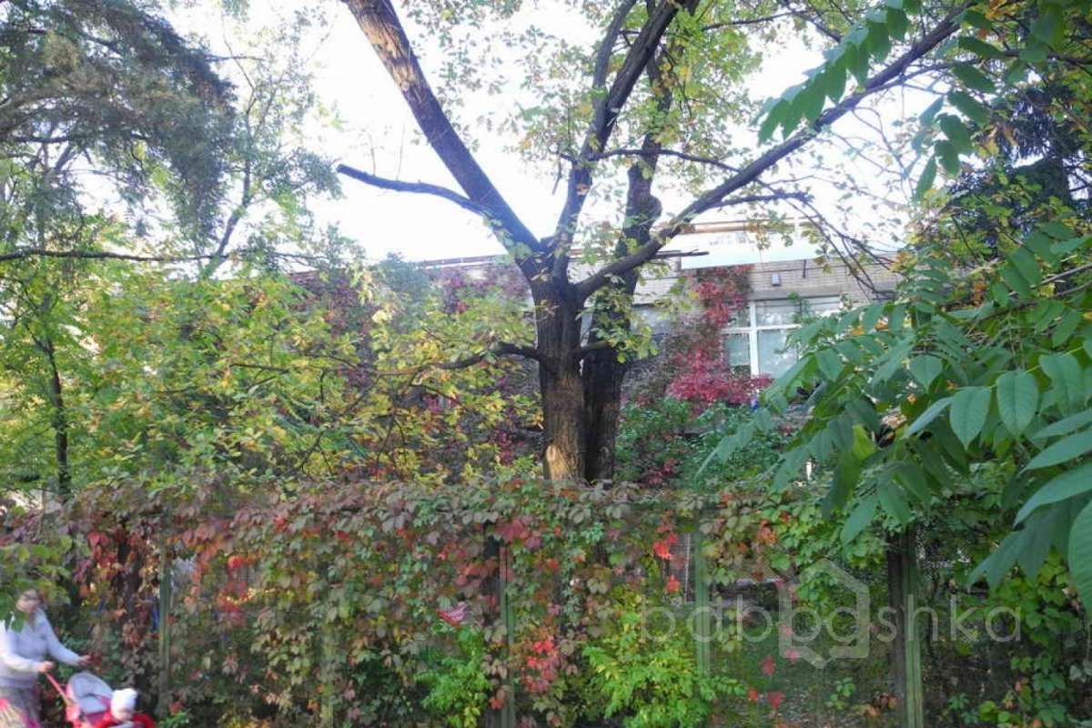 %D0%9A%D0%BE%D1%81%D0%B8%D0%BD%D0%BE%20(%D0%B4%D0%BE%D0%BC-%D0%BC%D0%B0%D1%81%D1%82%D0%B5%D1%80%D1%81%D0%BA%D0%B0%D1%8F%20%D1%81%D0%BA%D1%83%D0%BB%D1%8C%D0%BF%D1%82%D0%BE%D1%80%D0%B0)_01 дома 