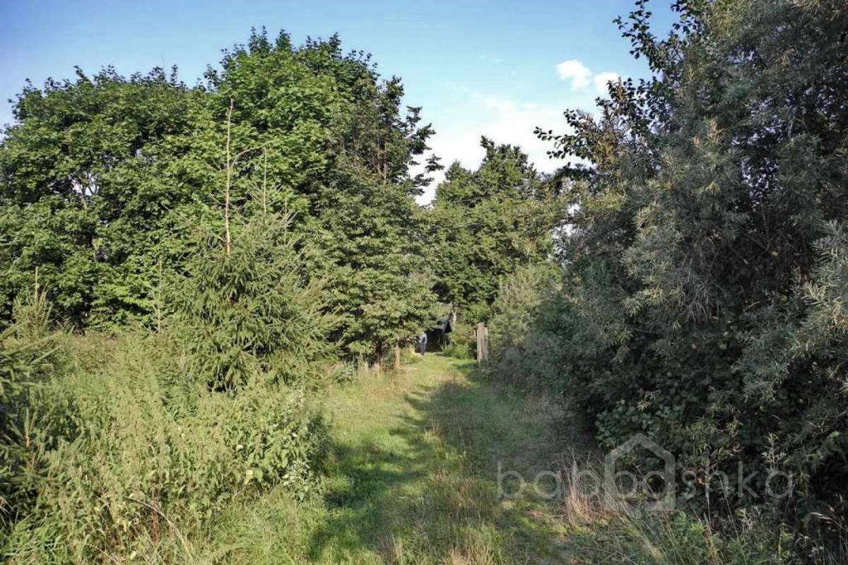 %D0%9A%D0%BB%D0%BE%D0%BA%D0%BE%D0%B2%D0%BE%20(%D0%90%D0%BD%D0%BD%D0%B0)_01 дома 