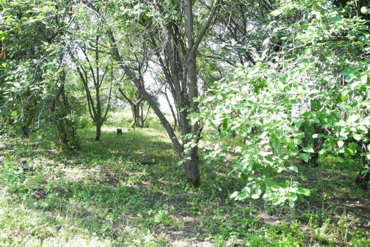 %D0%9A%D0%B0%D1%88%D0%B8%D1%80%D1%81%D0%BA%D0%BE%D0%B5%20%D1%88-%D0%B5%20(%D0%9B%D1%8E%D0%B4%D0%BC%D0%B8%D0%BB%D0%B0)_35 дома 