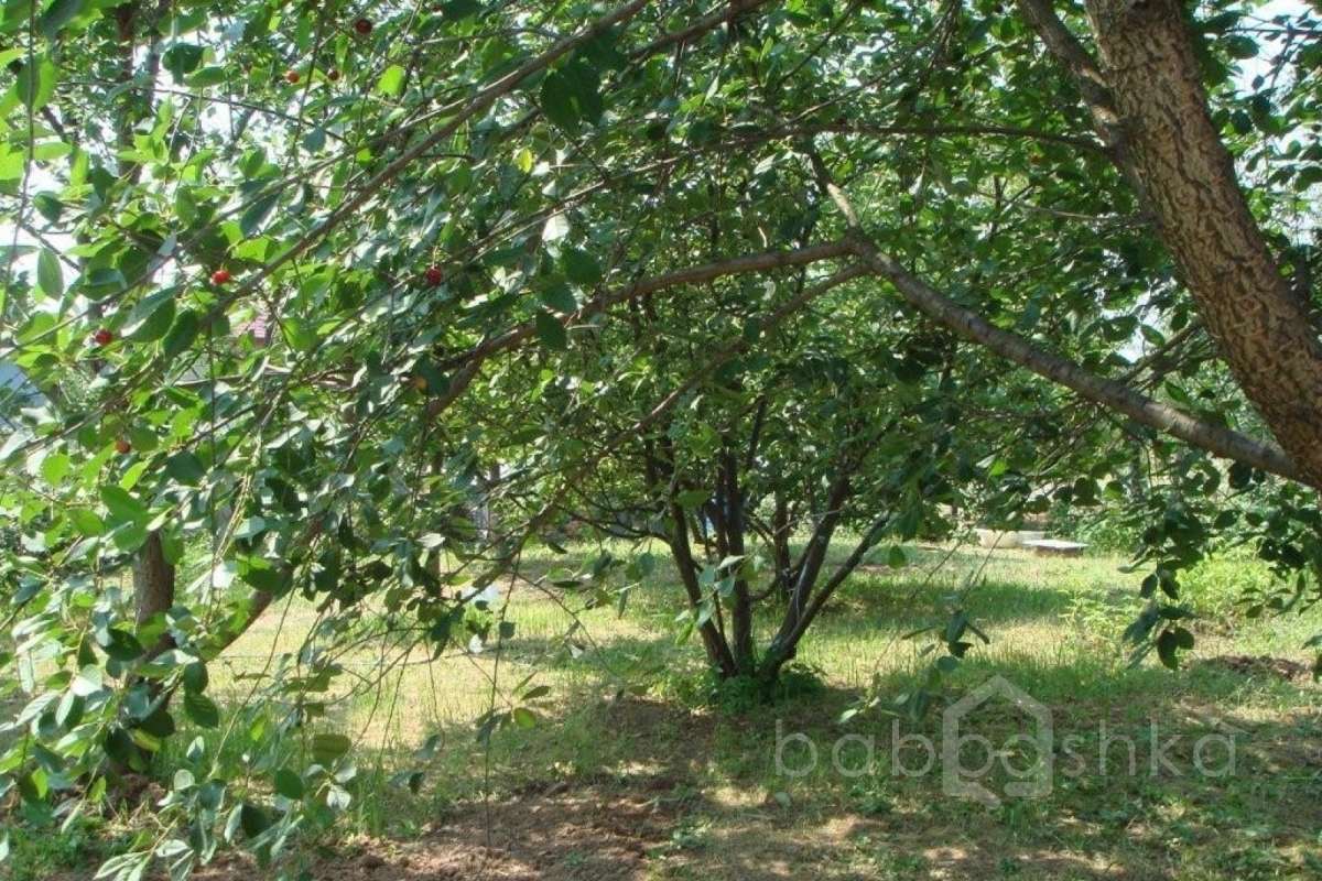 %D0%9A%D0%B0%D1%88%D0%B8%D1%80%D1%81%D0%BA%D0%BE%D0%B5%20%D1%88.%20(%D0%A1%D0%B5%D1%80%D0%B3%D0%B5%D0%B9)_13 дома 