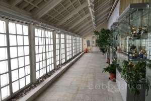 97 музеи Съёмки Москва