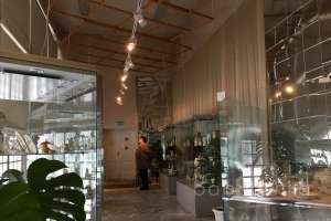 97 музеи Съёмки Москва