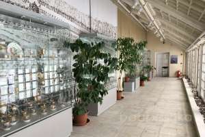 97 музеи Съёмки Москва